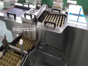 Egg Packer Machine