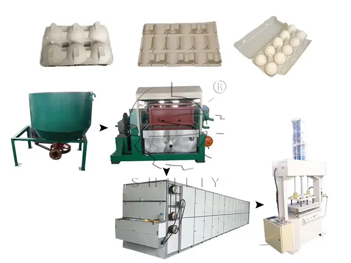 Ligne de production de plateaux d'œufs