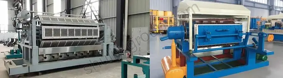 Máquina de moldeo de bandejas de huevos