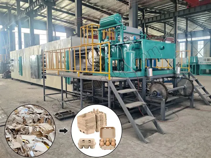 Línea de producción de máquinas automáticas de bandejas de huevos