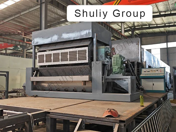 Máquina para fabricar bandejas de huevos