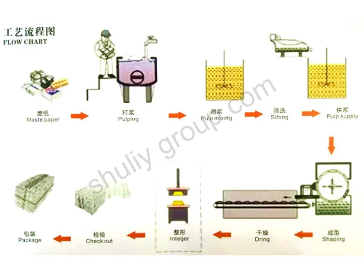 Proceso de producción de bandejas de huevos