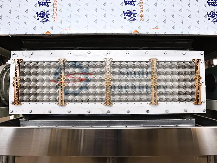 Egg Tray Pulp Moulding Machine